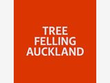 Tree Felling Auckland