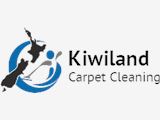 Carpet Cleaning in Auckland