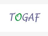TOGAF Online Training