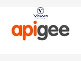 APIGEE Online Training from India