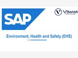 SAP EHS Online Training from India