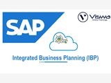 SAP IBP Training Institute