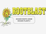 How Do You Maximize Plant Growth?
