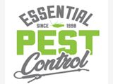 Pest Control Christchurch