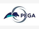 PEGA Online Training & Real Time Support