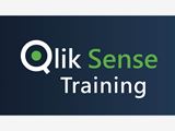Qlik Sense Online Training Real-time support
