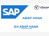 SAP ABAP on HANA Online Coaching Classes In India