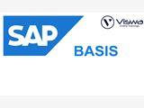 SAP BASIS Online Training & Real Time Support
