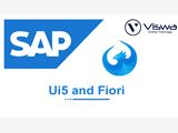 SAP Ui5 Professional Certification & Training
