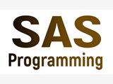 SAS Programming Online Coaching Classes In India