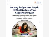 Professional Nursing Assignment Services