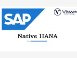 SAP Native HANA Online Training Course