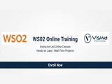 WSO2 Online Coaching from India