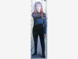Dr Beverly Crusher Standee