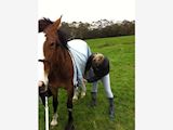 Equine Care and Minding Services- Rodney area