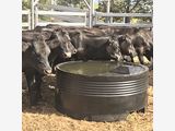 Upgrade Your Farm with Resilient Plastic Water Tro