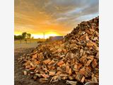 Firewood both hardwood and softwood varieties