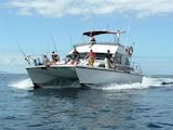 Auckland Fishing Charters - Double Rum 